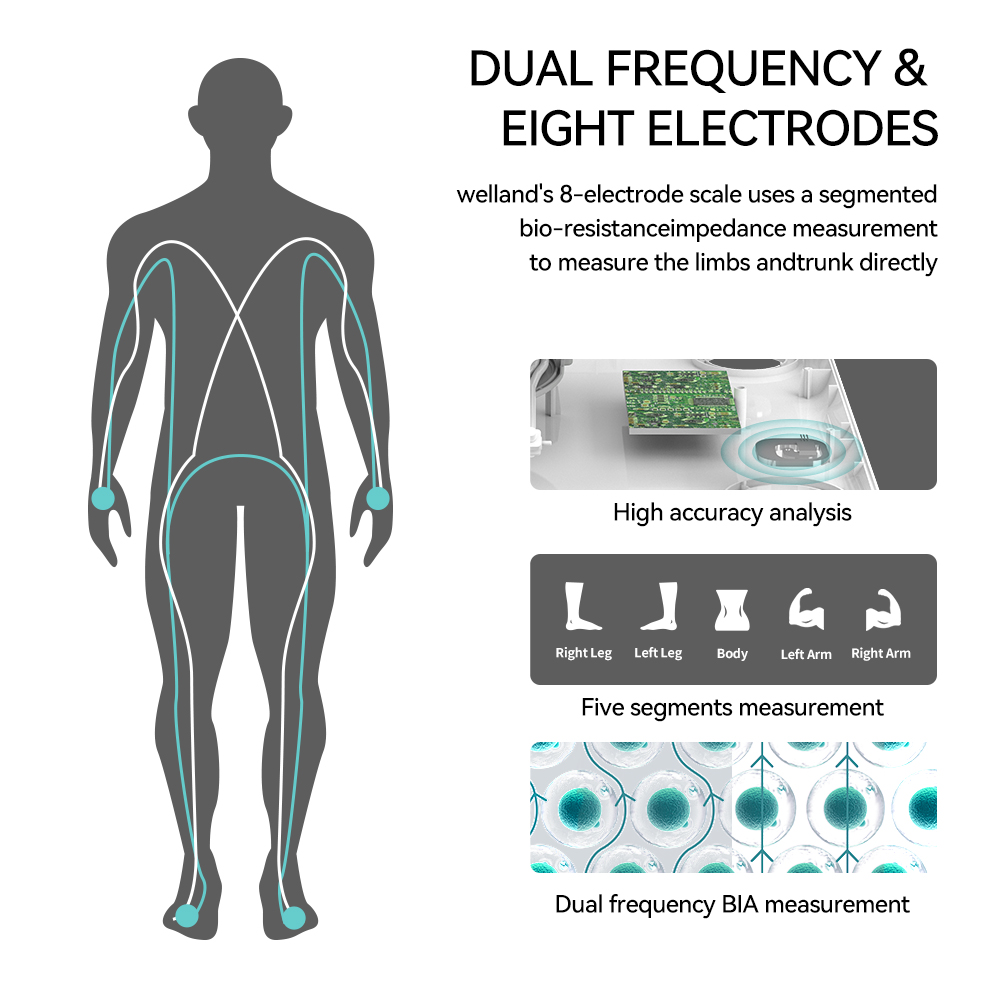 Smart 8 Elektrode lichaamsgewi - Body Fat Scale Smart recensie en prijs
